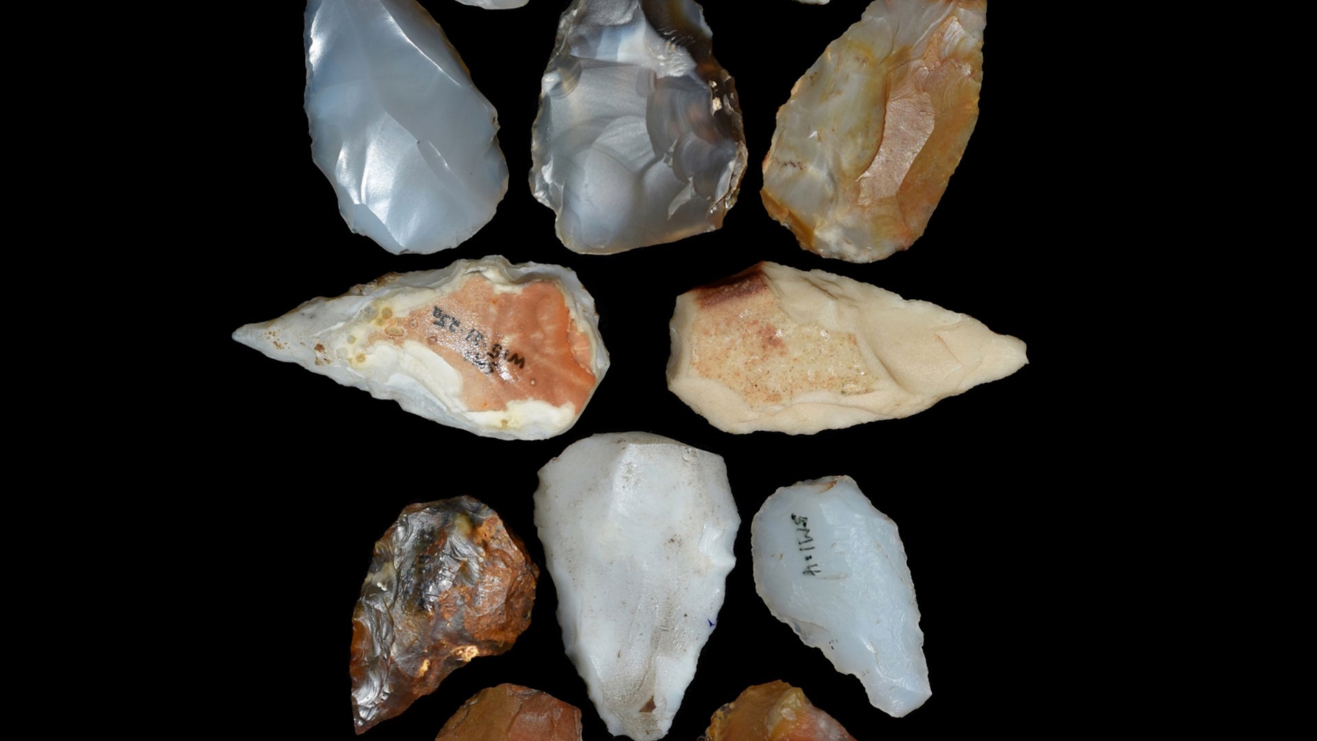 Archaeological Find May Detail Survival After Supereruption