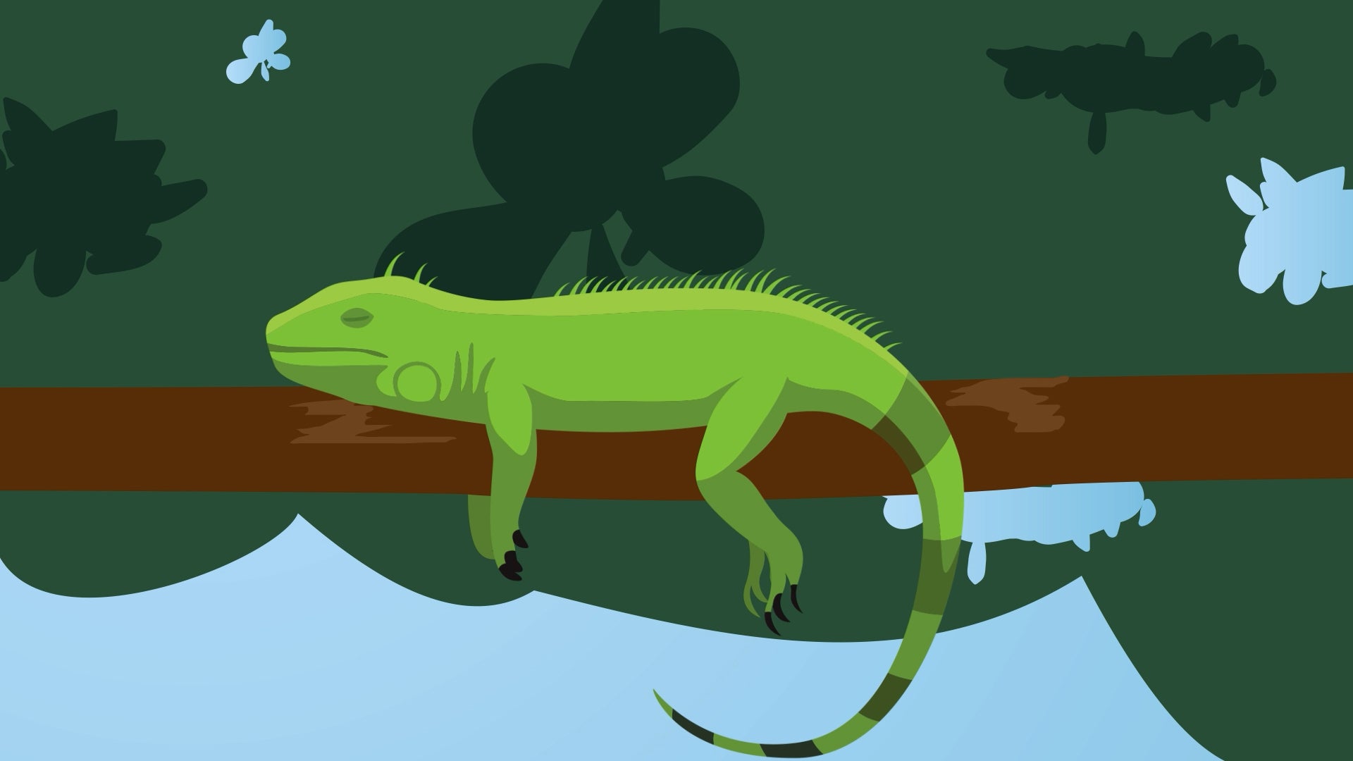 Iguanas Falling From Trees? It&rsquo;s A Florida Reality