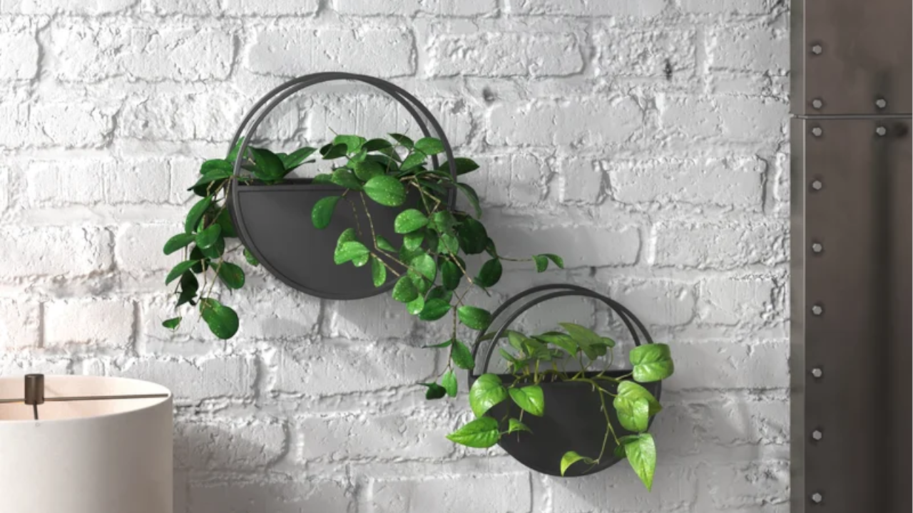 Josiah Metal Indoor Wall Planter Set