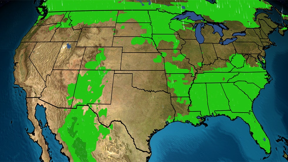 Watch Amazing Moment Deer Sheds Its Antlers Videos from The Weather