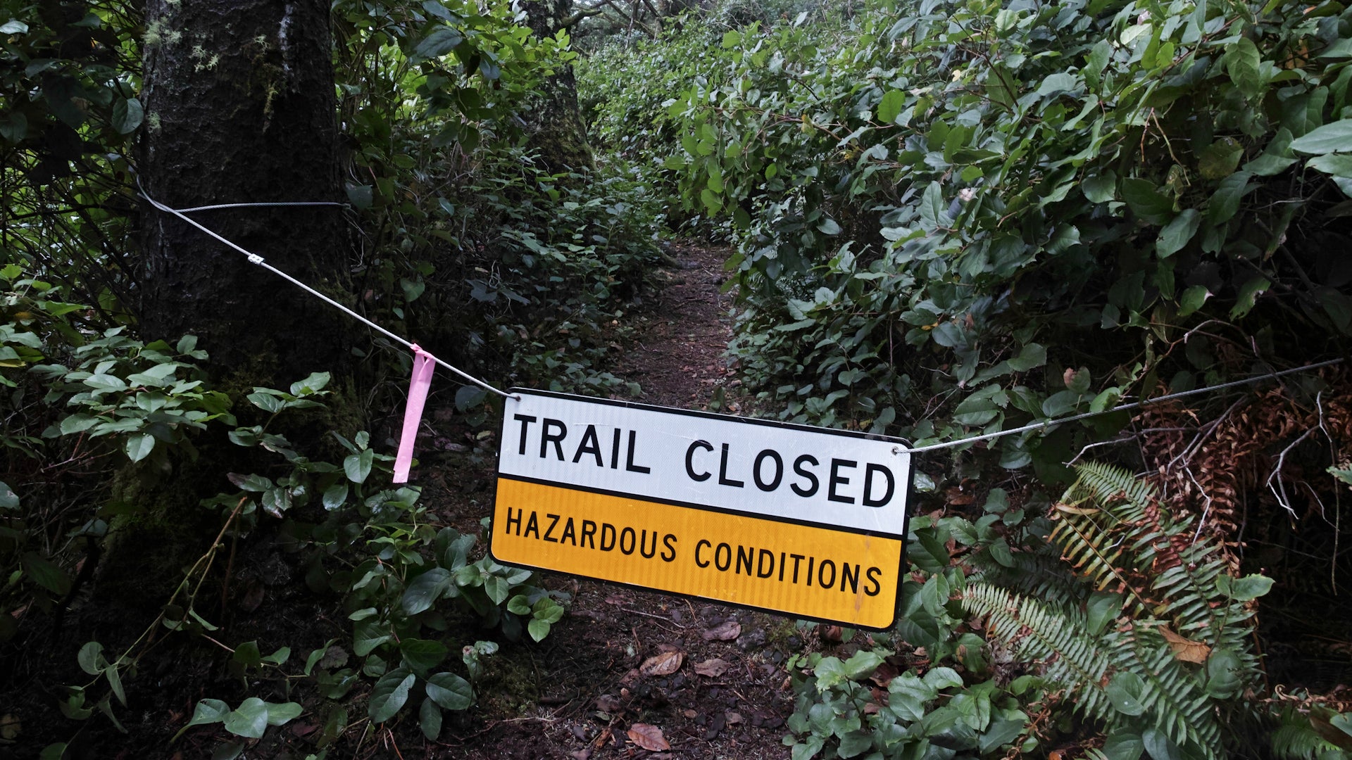 Highly Contagious Virus Hits Hikers, Shuts Down Hawaii Trail