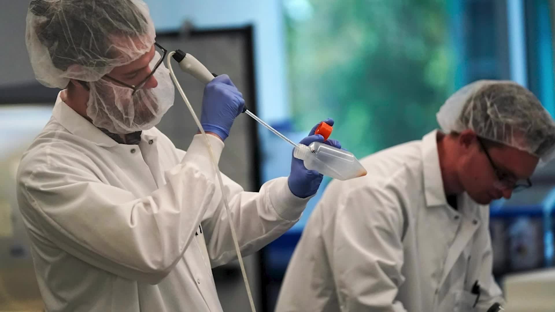 Lab-Grown Chicken Approved, Heading To Tables Soon