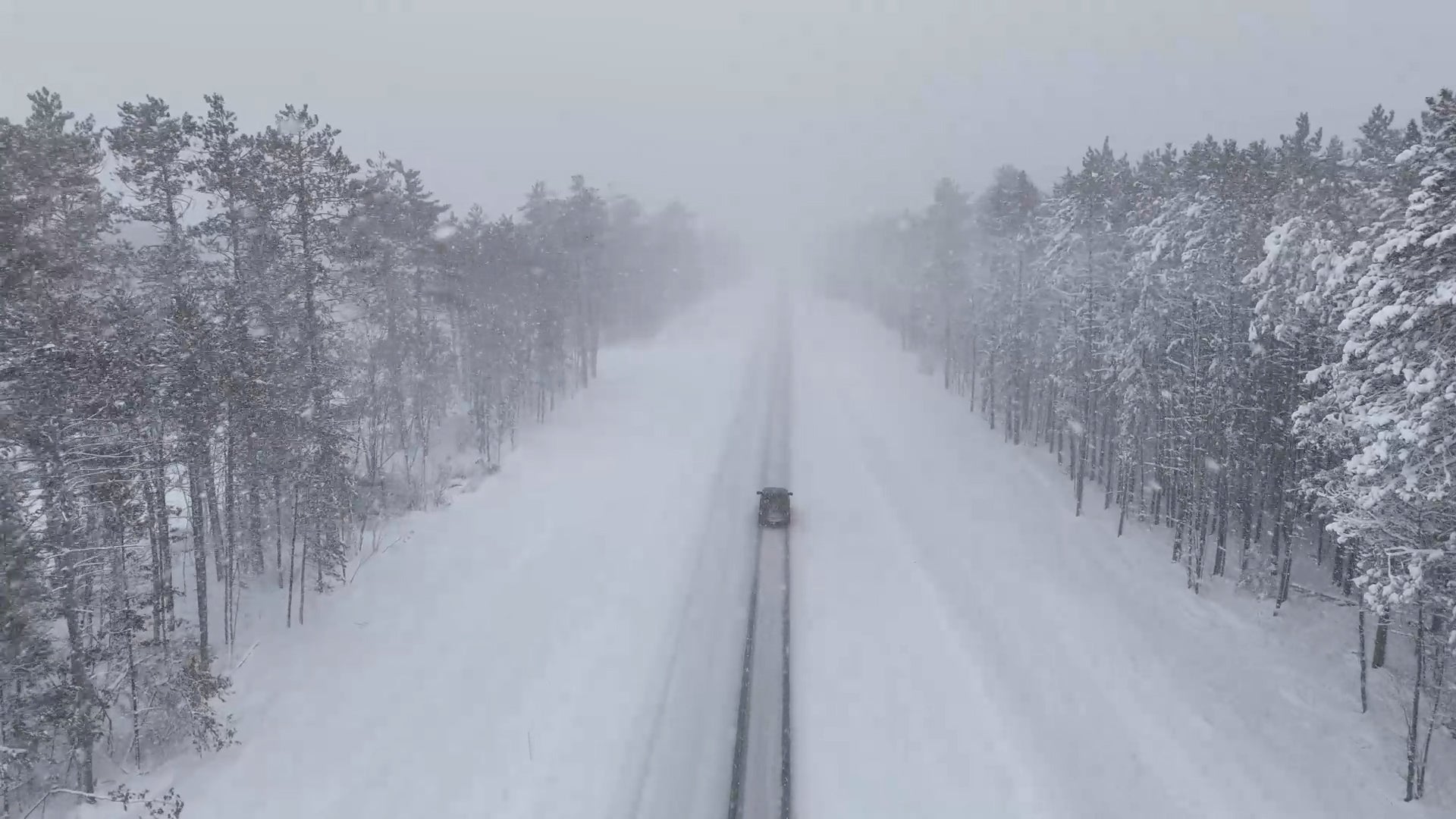 Lake-Effect Snow Whites Out Michigan