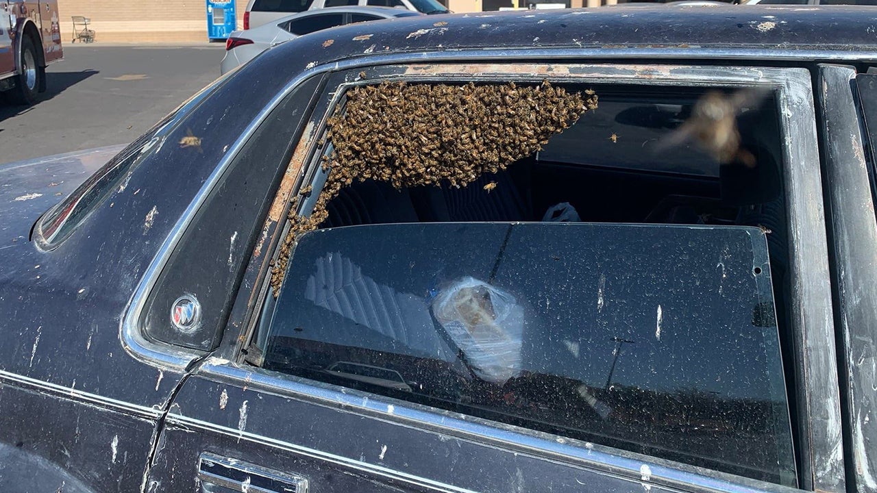 15,000 Bees Invade Man's Car While He Shops for Groceries; Firefighter