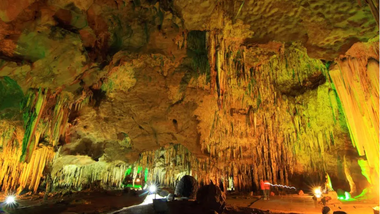 Mammoth Cave National Park