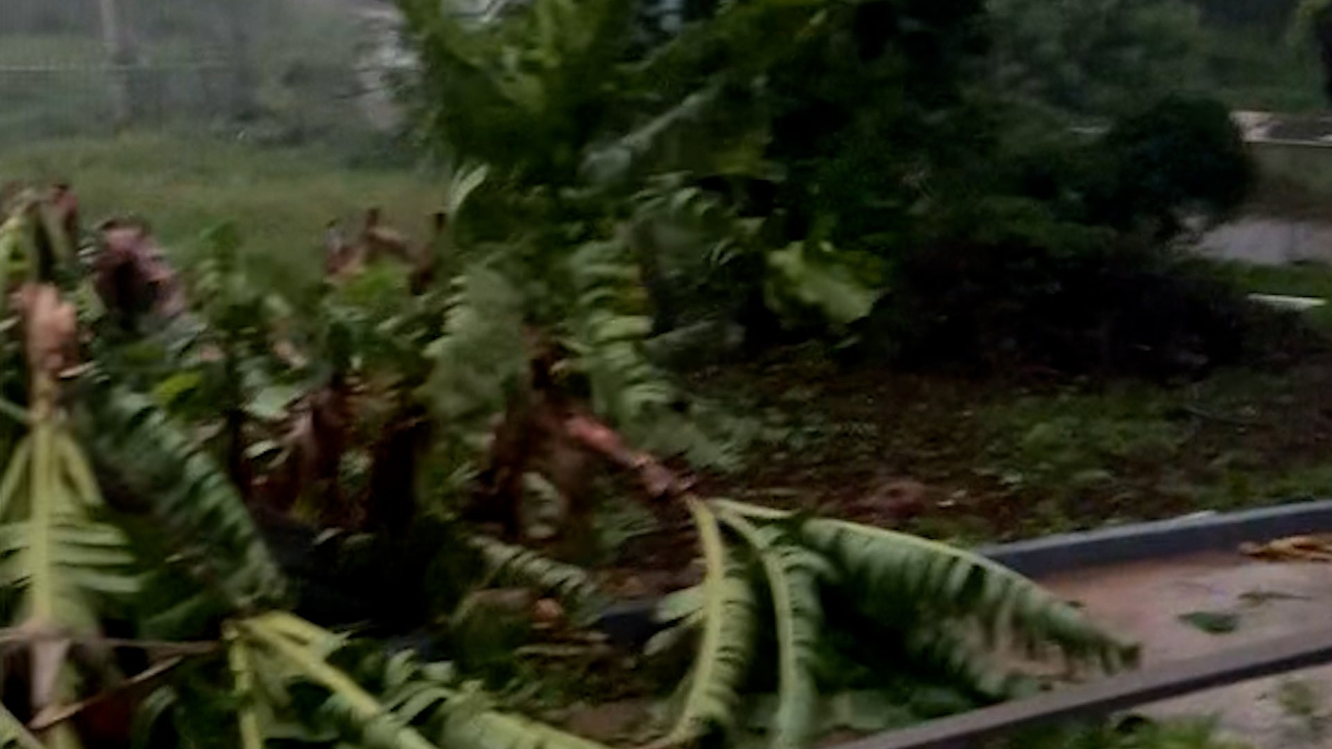 Tracking Disaster: Hurricane Melissa Makes Historic Landfall