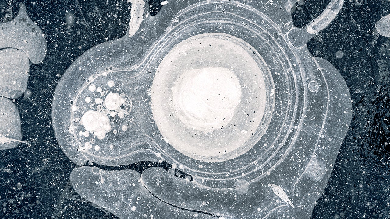 The Strange Beauty of Frozen Methane Bubbles (PHOTOS)