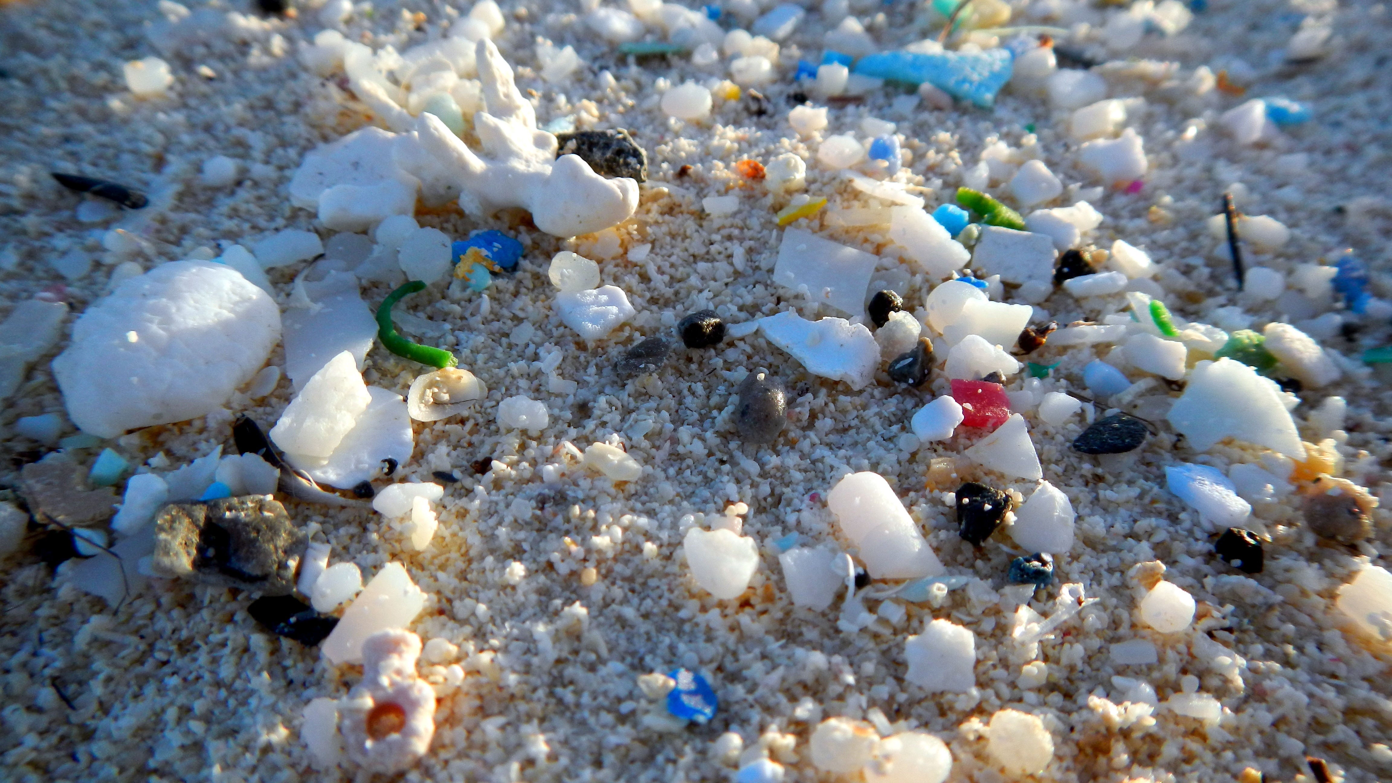 Microplastics On Beach (Photo Credit - NOAA).jpg