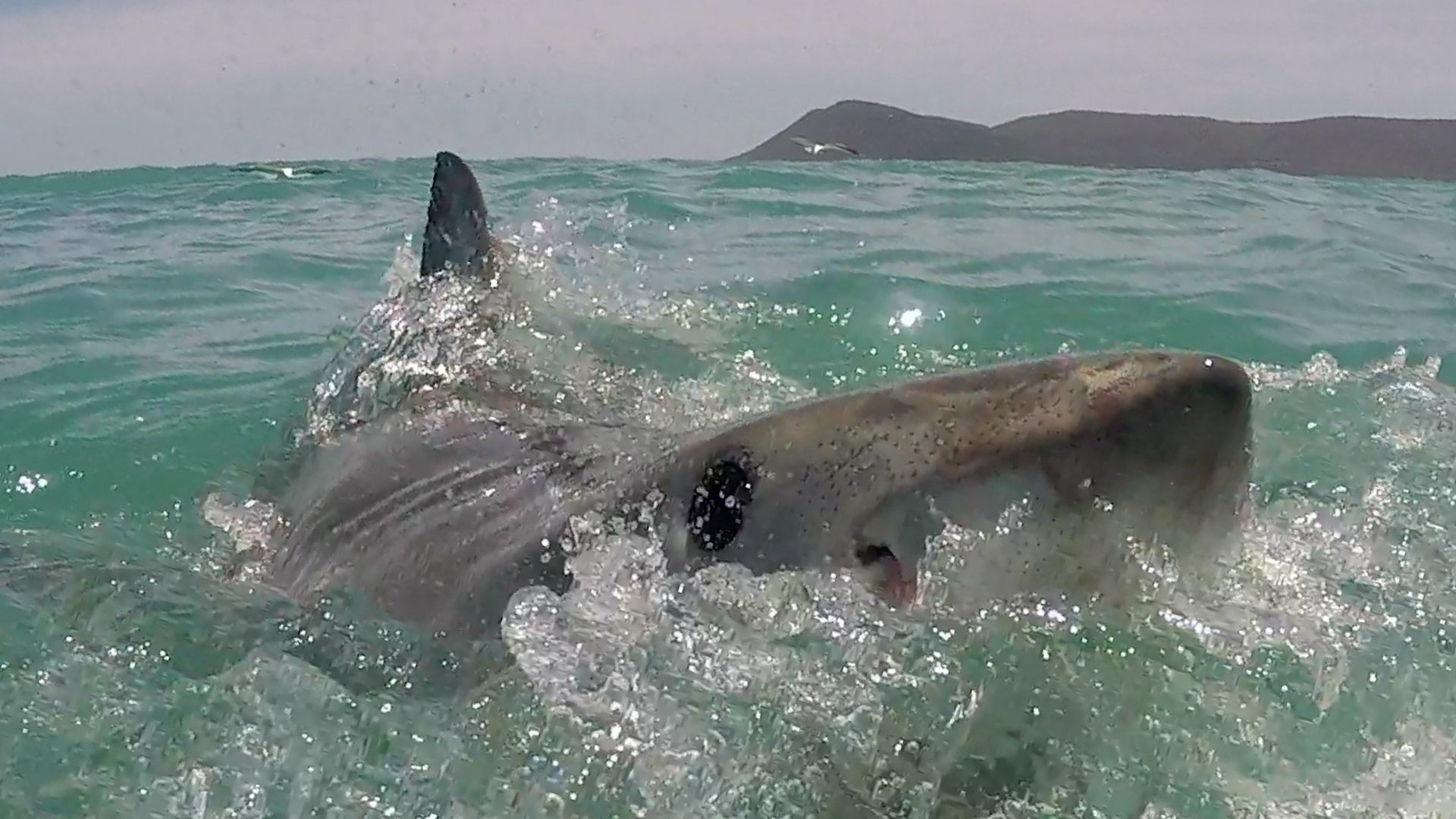 Why These Beaches Are The Top 5 Most Dangerous In The US