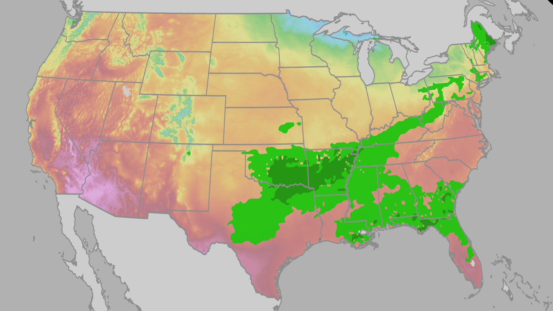 Mother's Day Forecast: Stormy South, West Bakes, Rainy East