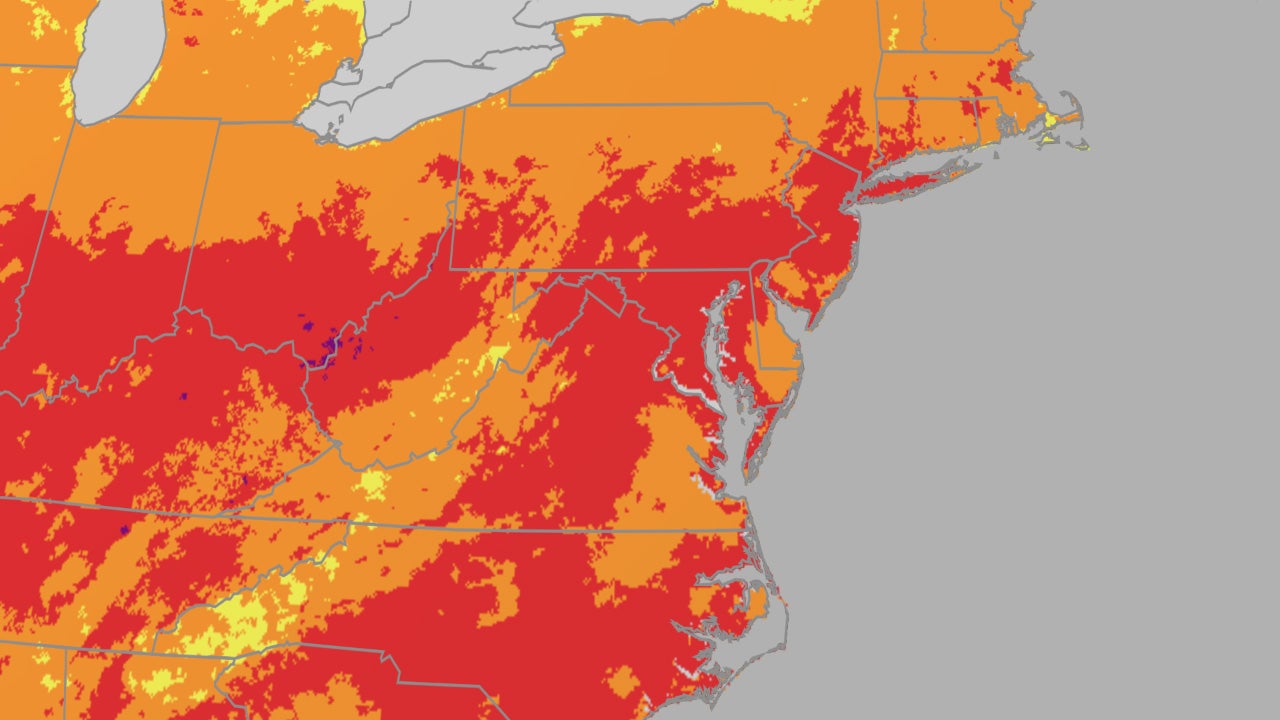  Navigating the Night: Protecting Yourself from Overlooked Summer Heat Risks 
