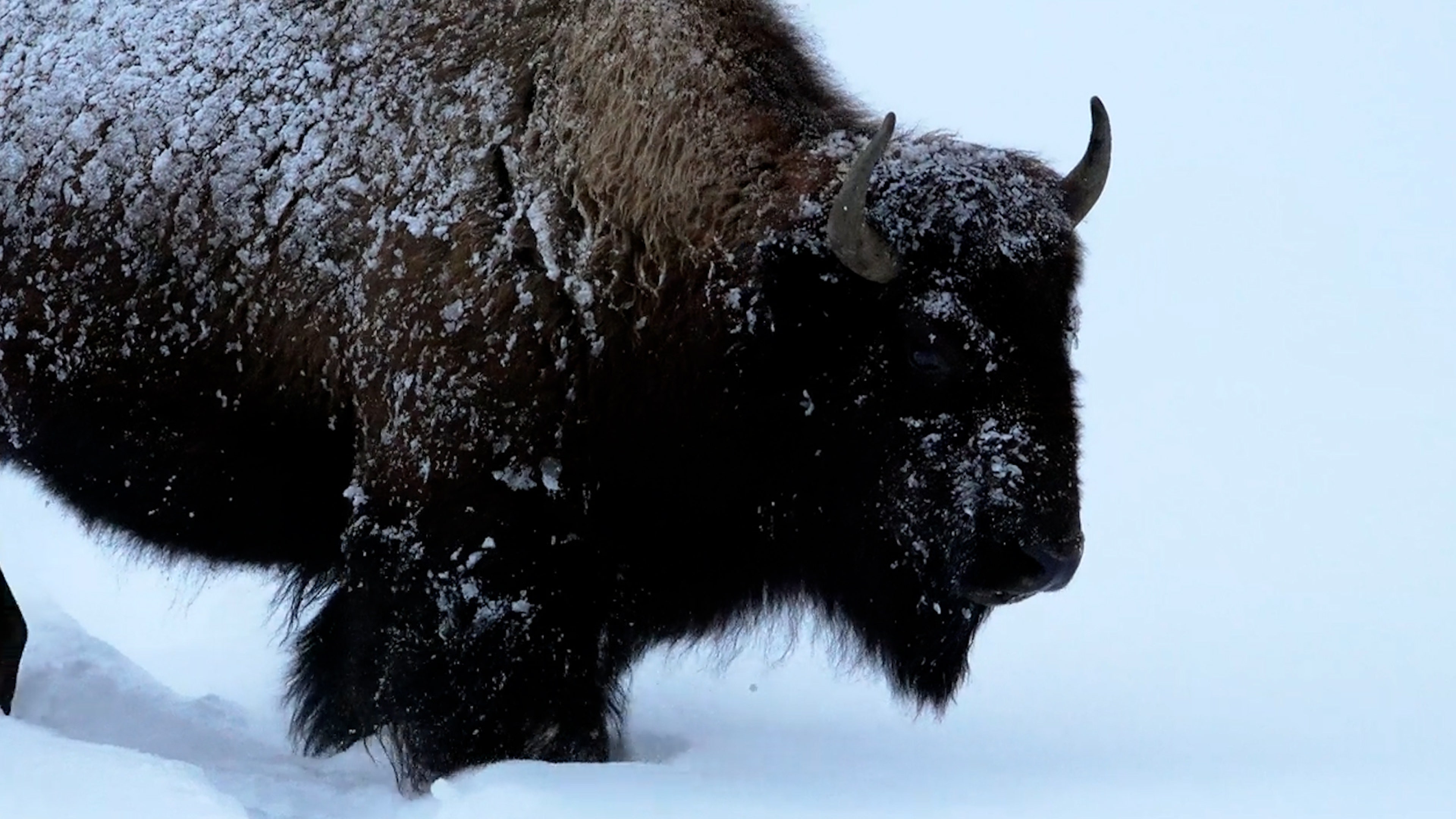 Five National Parks To Visit This Winter