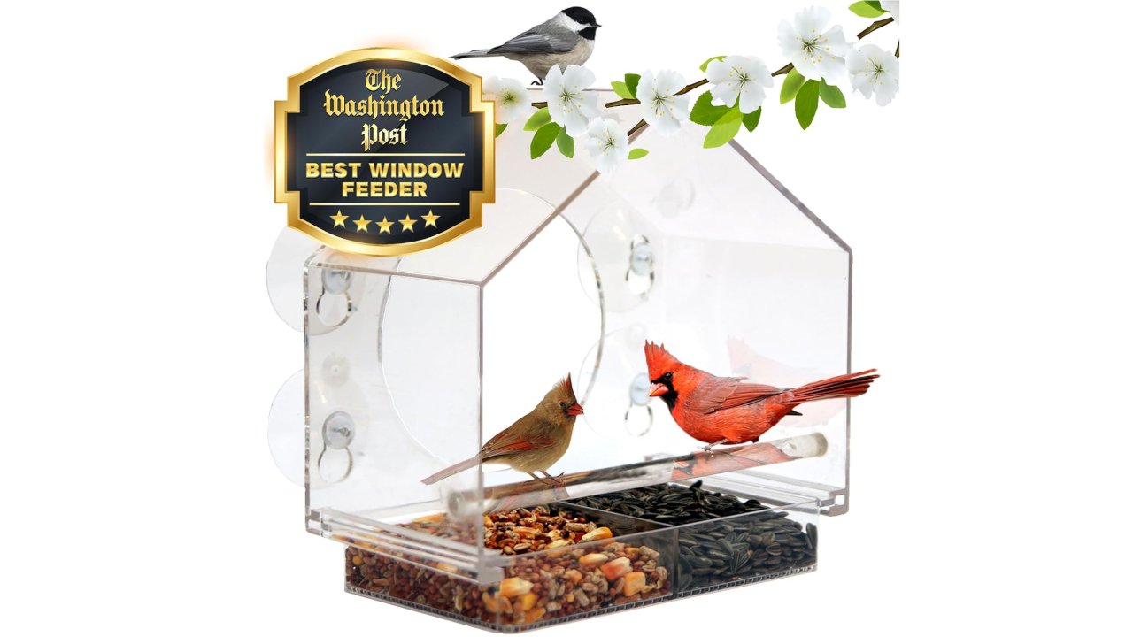Nature Anywhere Transparent Acrylic Window Bird Feeders