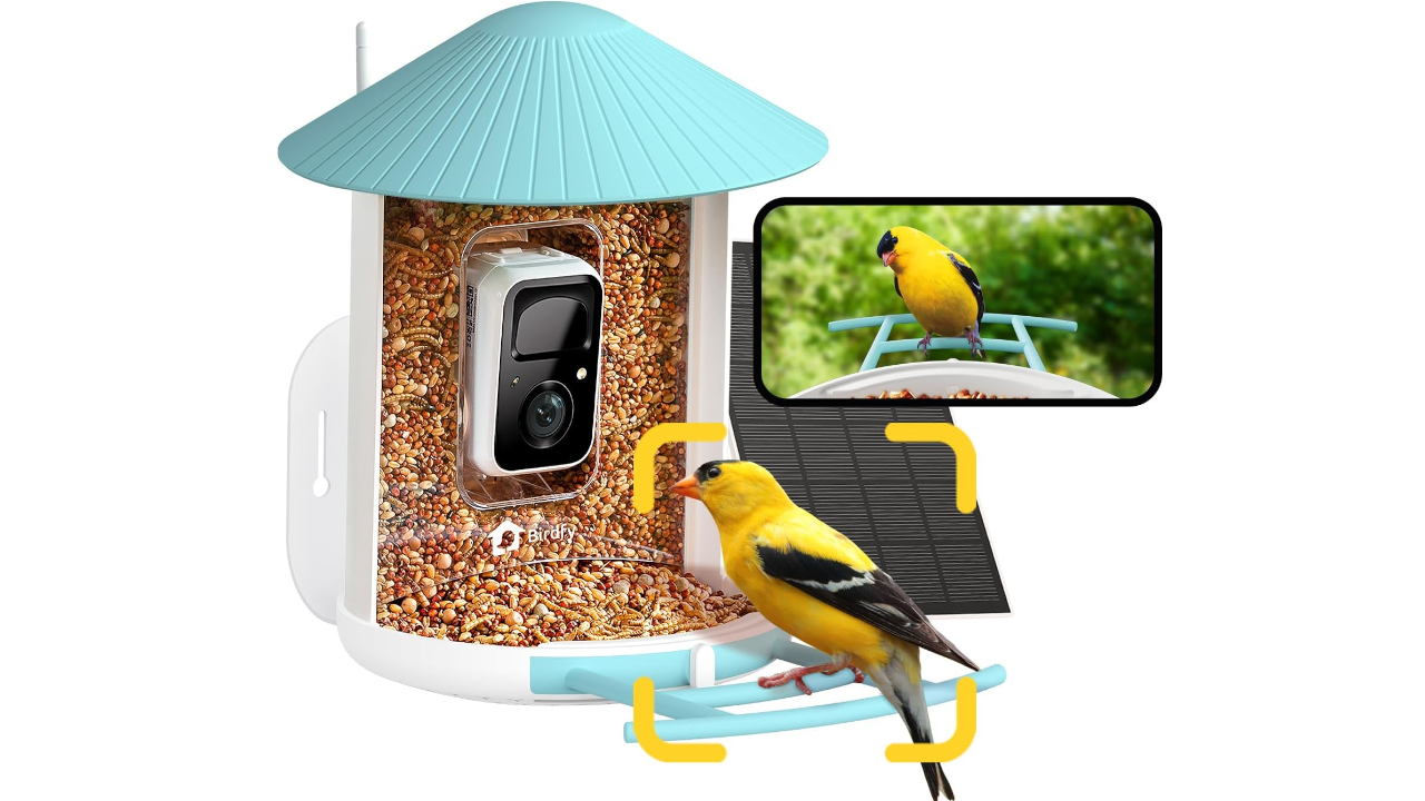 NETVUE by Birdfy AI Smart Bird Feeder with Camera (Solar Powered)