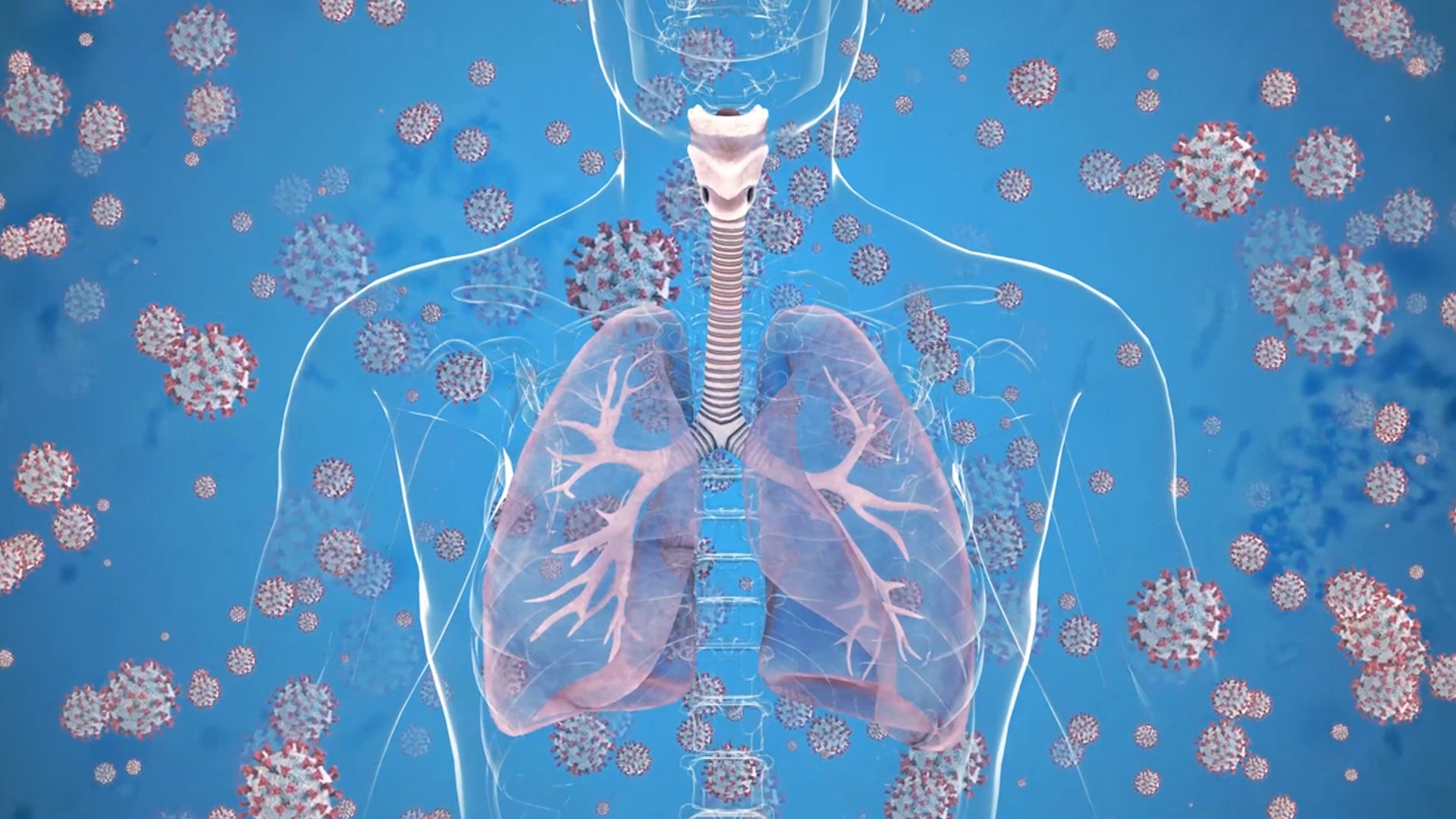 Breakthrough For Asthma Attacks Triggered By Allergies?