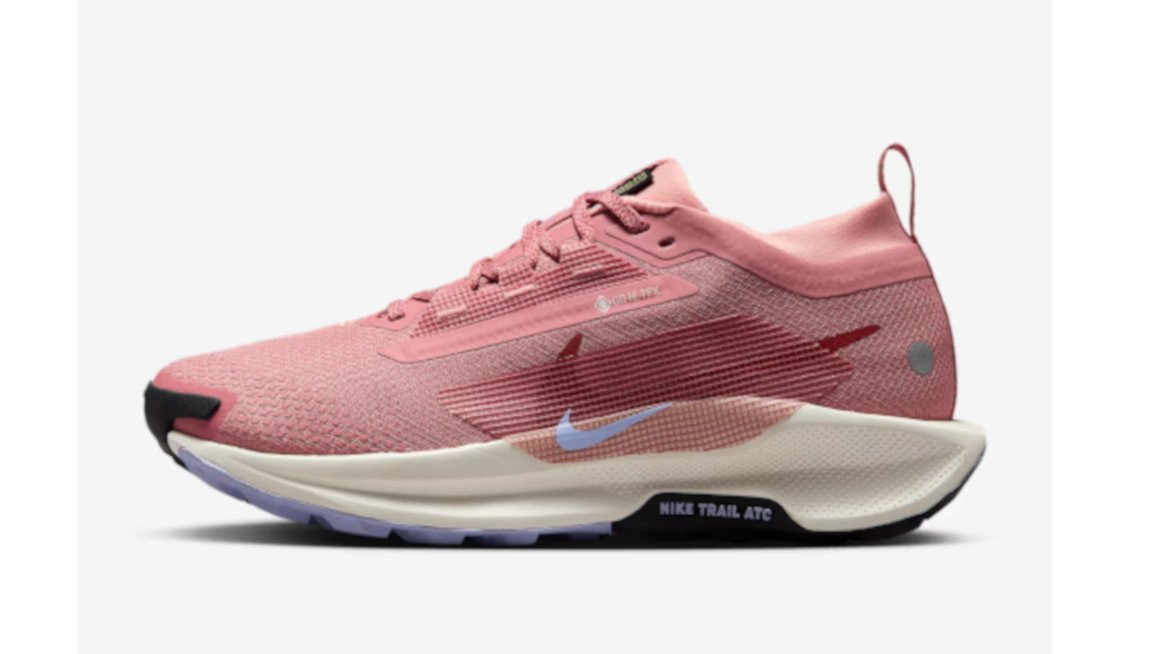 Nike Pegasus Trail 5 GORE-TEX