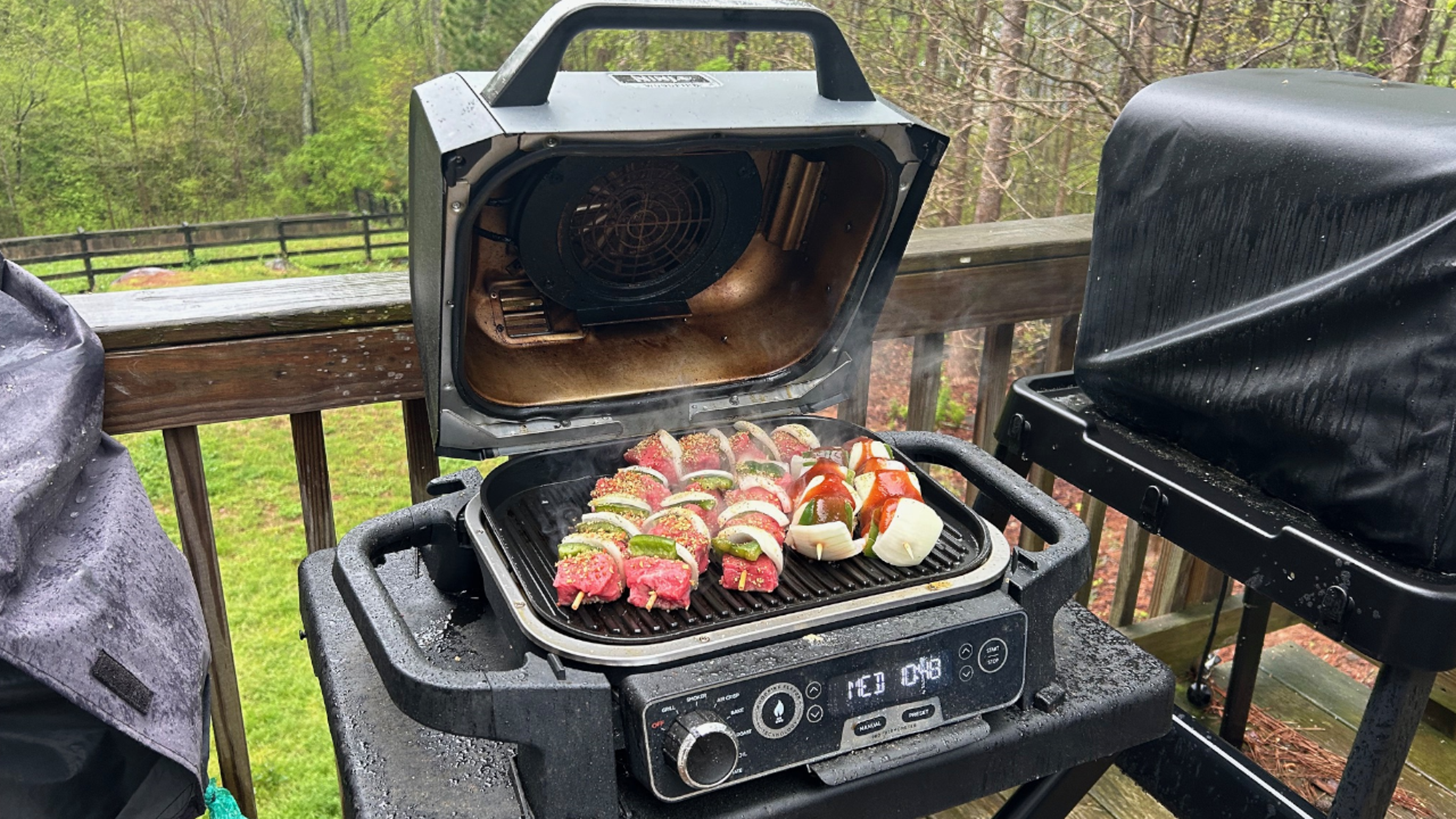 Ninja Grill Testing - Stephanie Quick/The Weather Channel
