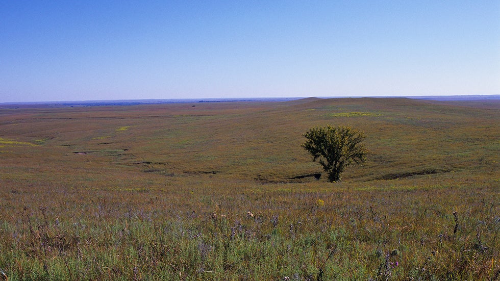 Stressed? How About A Trip To The Middle Of Nowhere