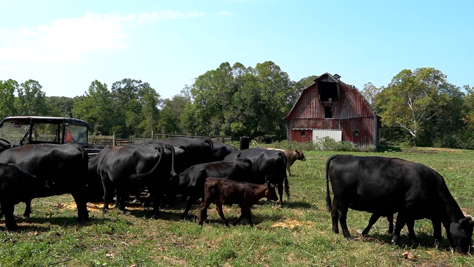 Ohio Farmers Say Drought Is Crushing Their Crops - Videos from The ...