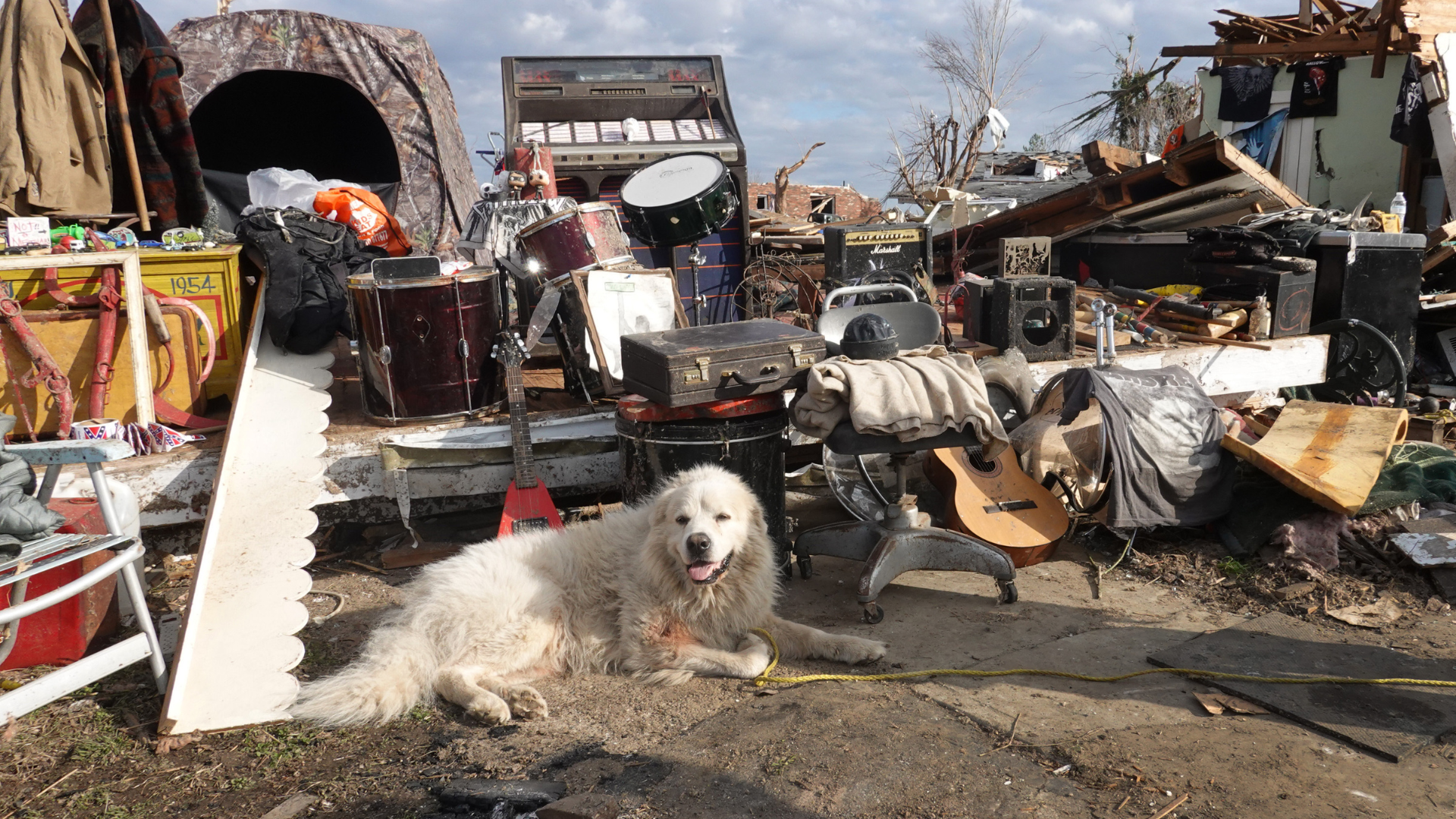 How To Keep Your Pets Safe During A Tornado Or Severe Weather