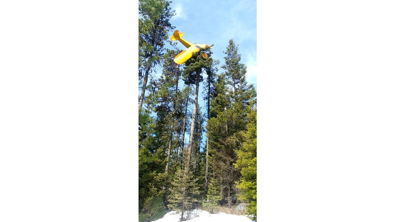 Idaho Pilot Rescued After His Small Plane Gets Stuck in 60-Foot Tree ...