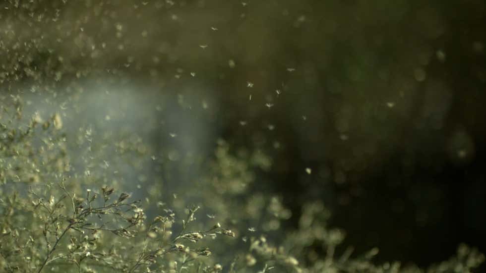 Storm Alerts Explained Watch Vs Warning Videos From The Weather Channel storm-alerts-explained-watch-vs-warning-videos-from-the-weather-channel