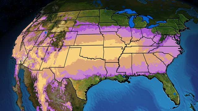 Pollen Forecast: Will Dry, Mild Weather Help? - Videos from The Weather ...