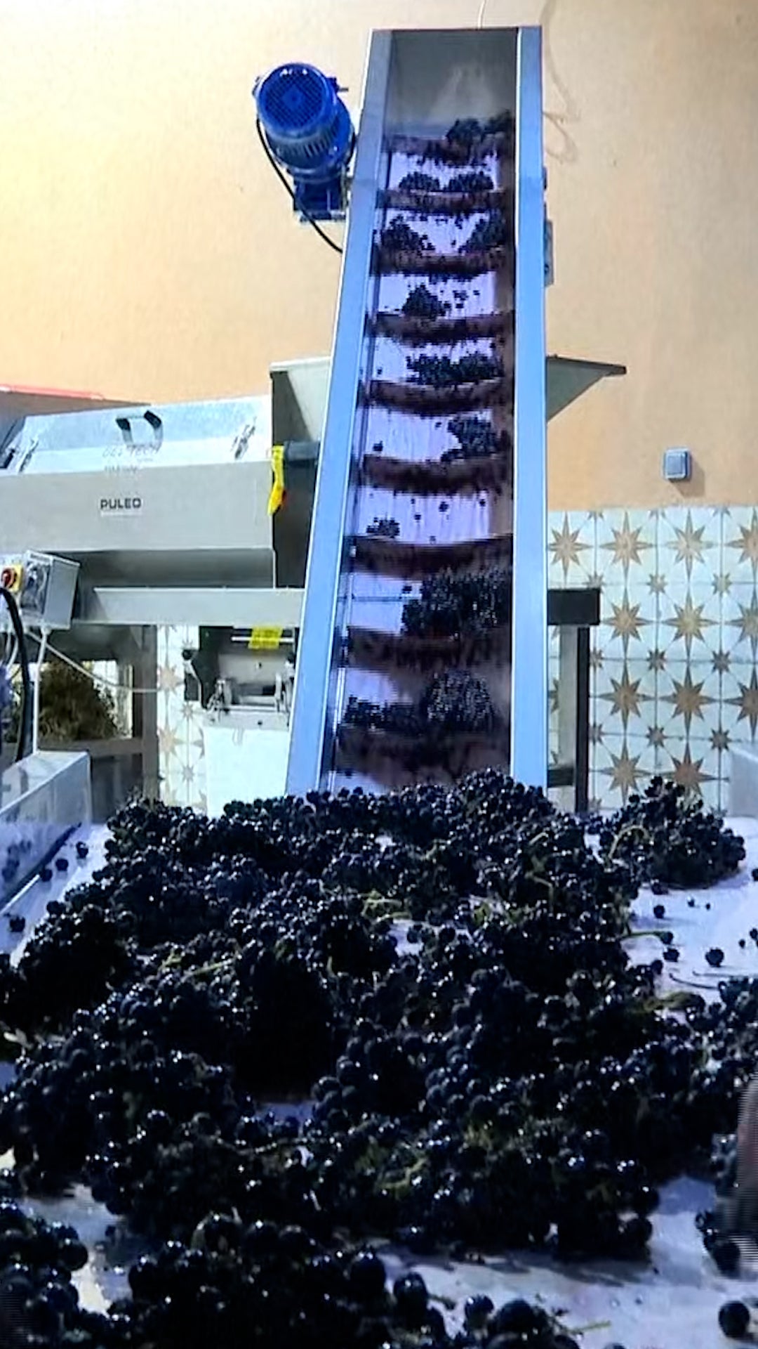 This Is Why More Vineyards Are Harvesting At Night