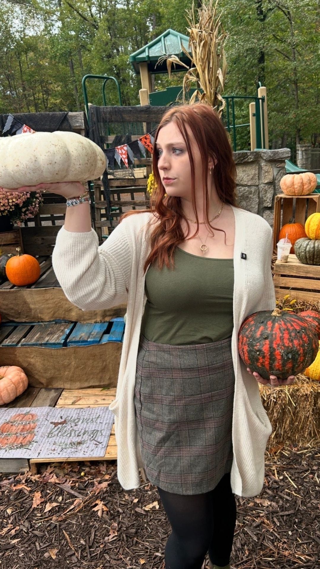 When Should You Pick Your Perfect Pumpkin?