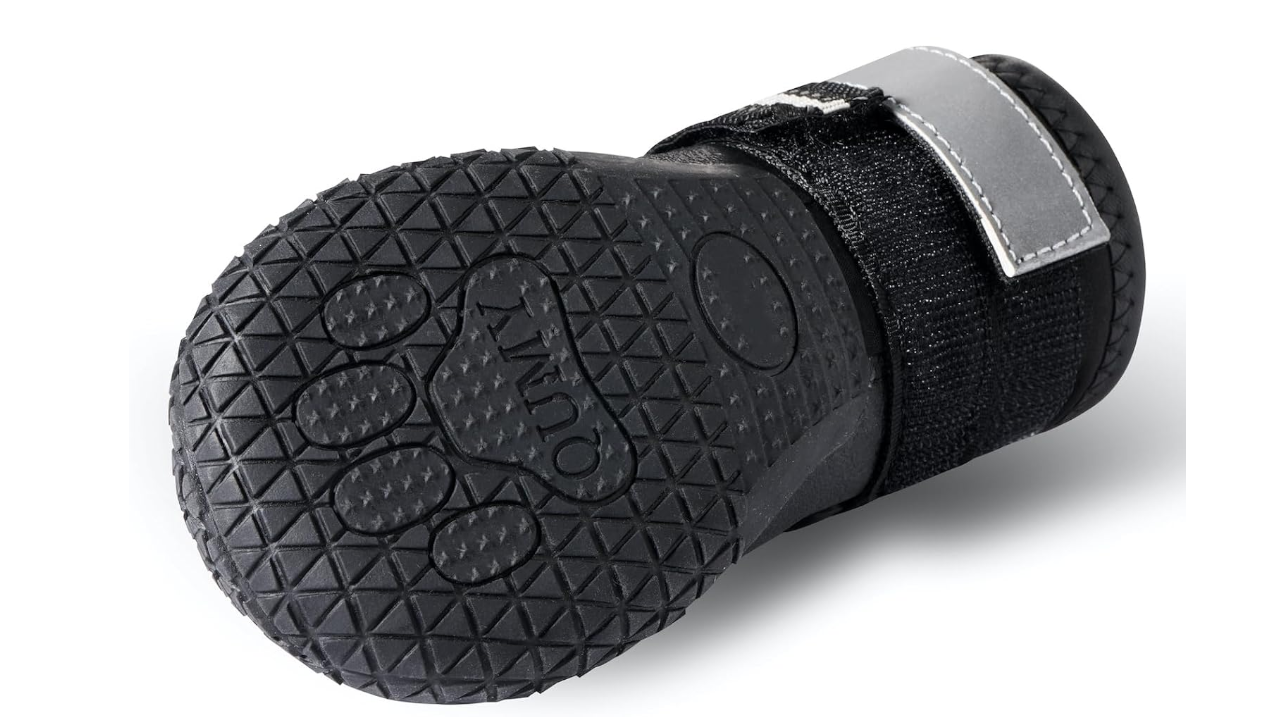 QUMY Dog Shoes