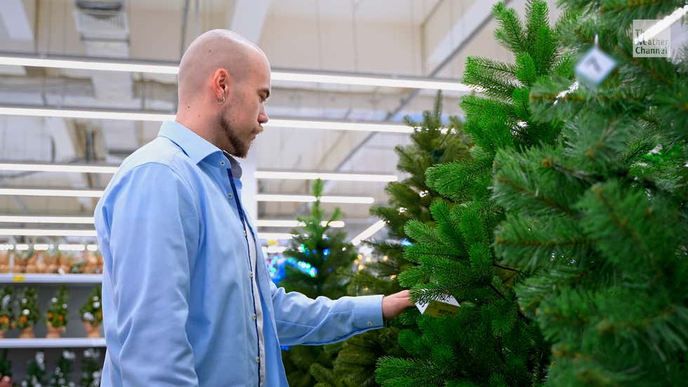 Real Tree Or Fake Tree Which Is Better Videos From The Weather Channel real-tree-or-fake-tree-which-is-better-videos-from-the-weather-channel