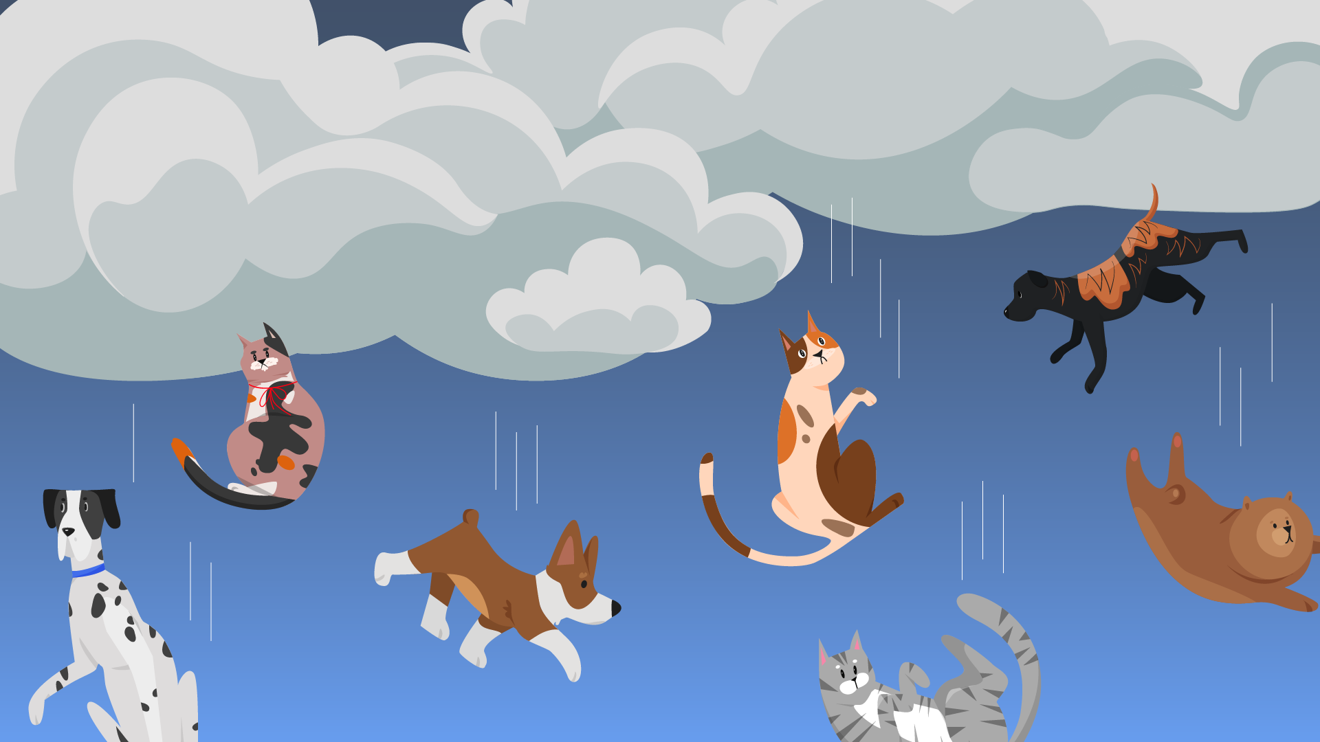 Ask A Met: Why Do We Say 'Raining Cats And Dogs?' | Weather.com
