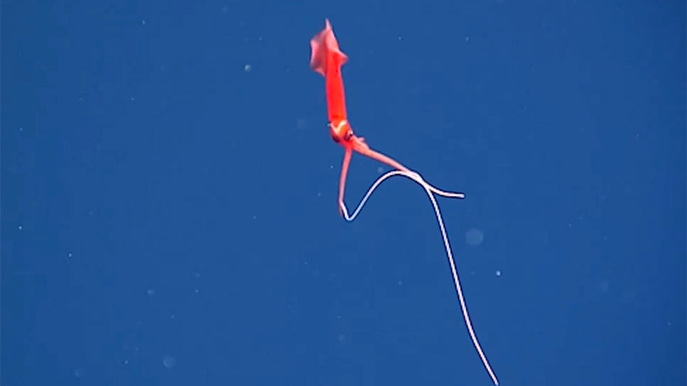 Bright Fireball Lights Up East Coast - Videos from The Weather Channel