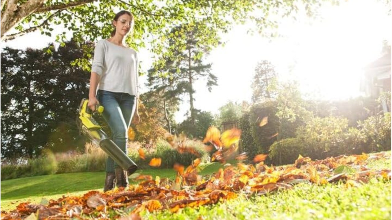 Ryobi leaf blower