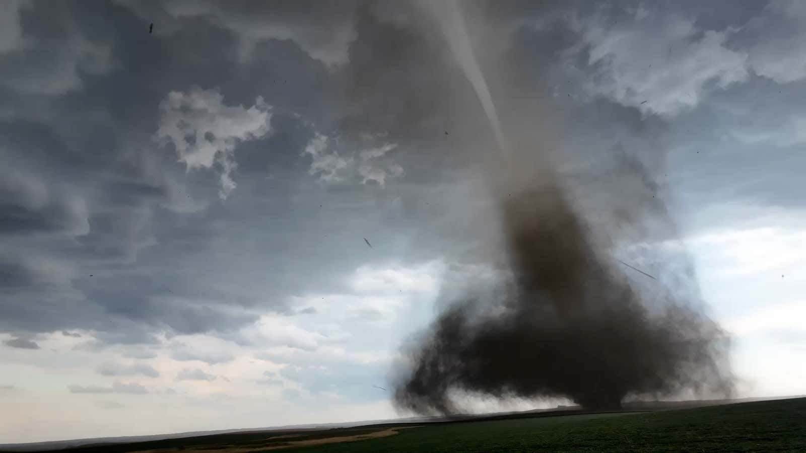 Hero Rescues Dog Trapped Under Kentucky Tornado Debris | Weather.com