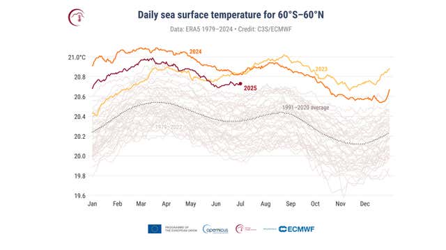 Medium Graph 2025 Pacing To Be Earth's Second Warmest Year, Report Says | Weather.com