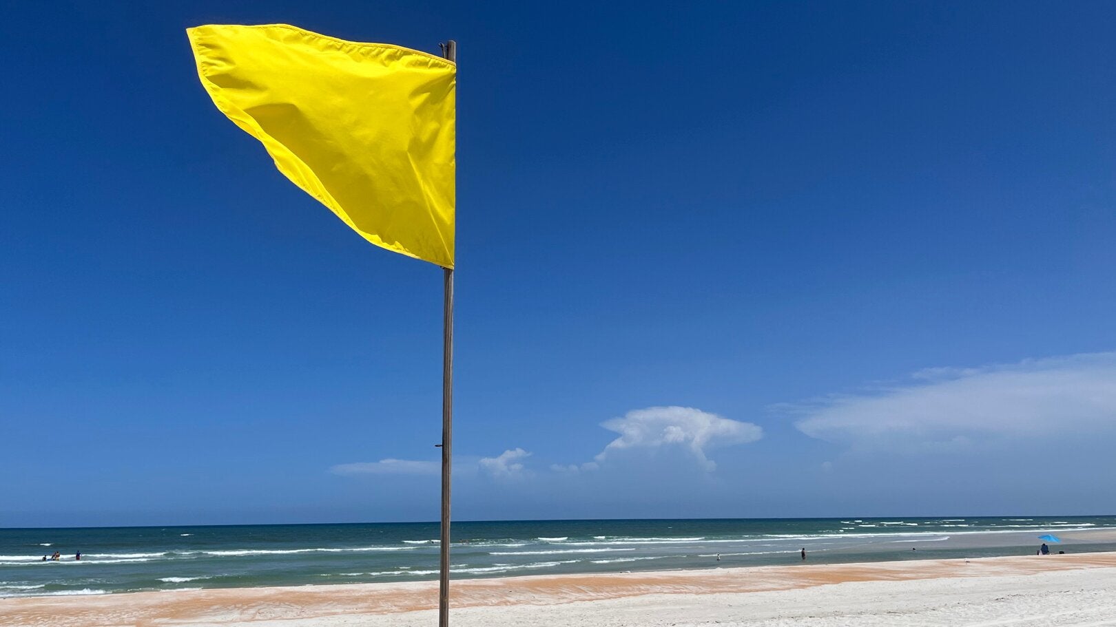 yellow beach flag