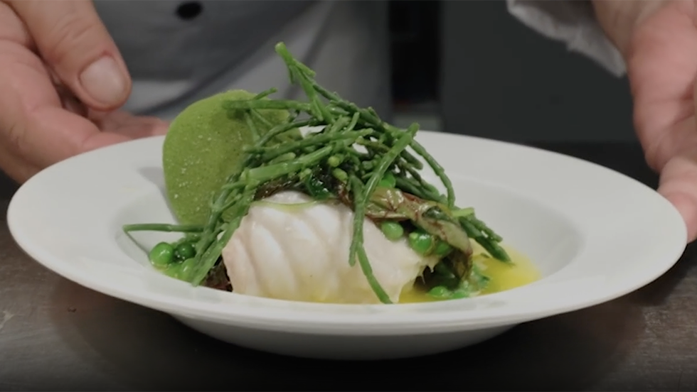 This Salt-Loving Plant Could Be The Future Of Eating