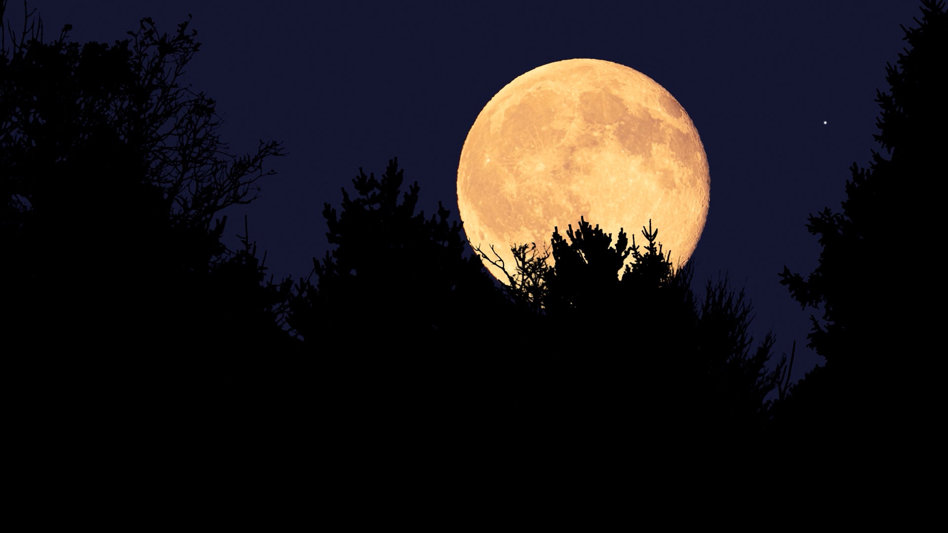 May&rsquo;s Lunar Duo: When To See The Flower Moon, Rare Blue Moon