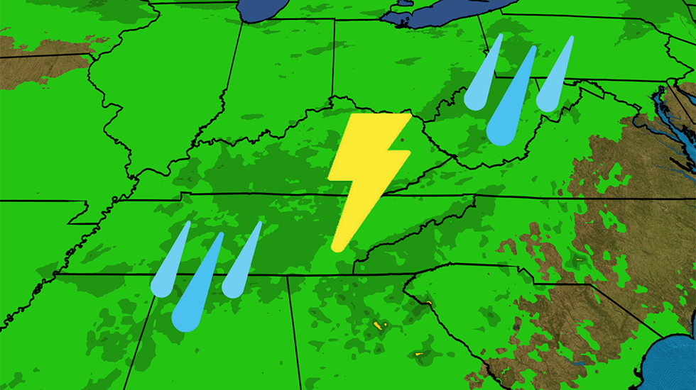 Why Are So Many Florida Manatees Dying? - Videos from The Weather Channel