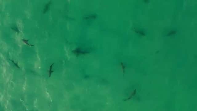 'Omega Block' Pattern Ahead - Videos from The Weather Channel