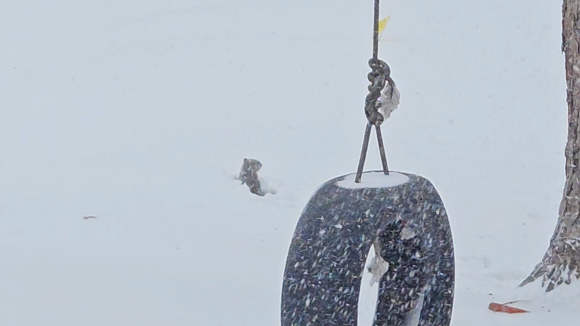 Who Got The Most Snow So Far From Winter Storm Blair?