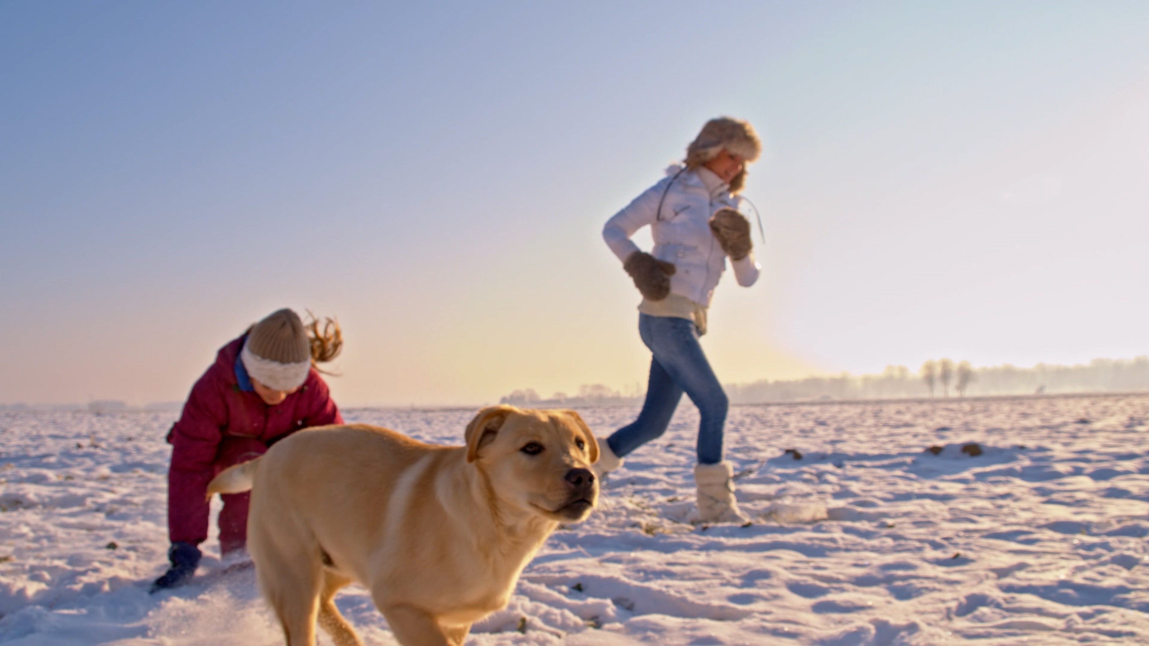 Keep Your Dog Safe When Playing Outside This Winter