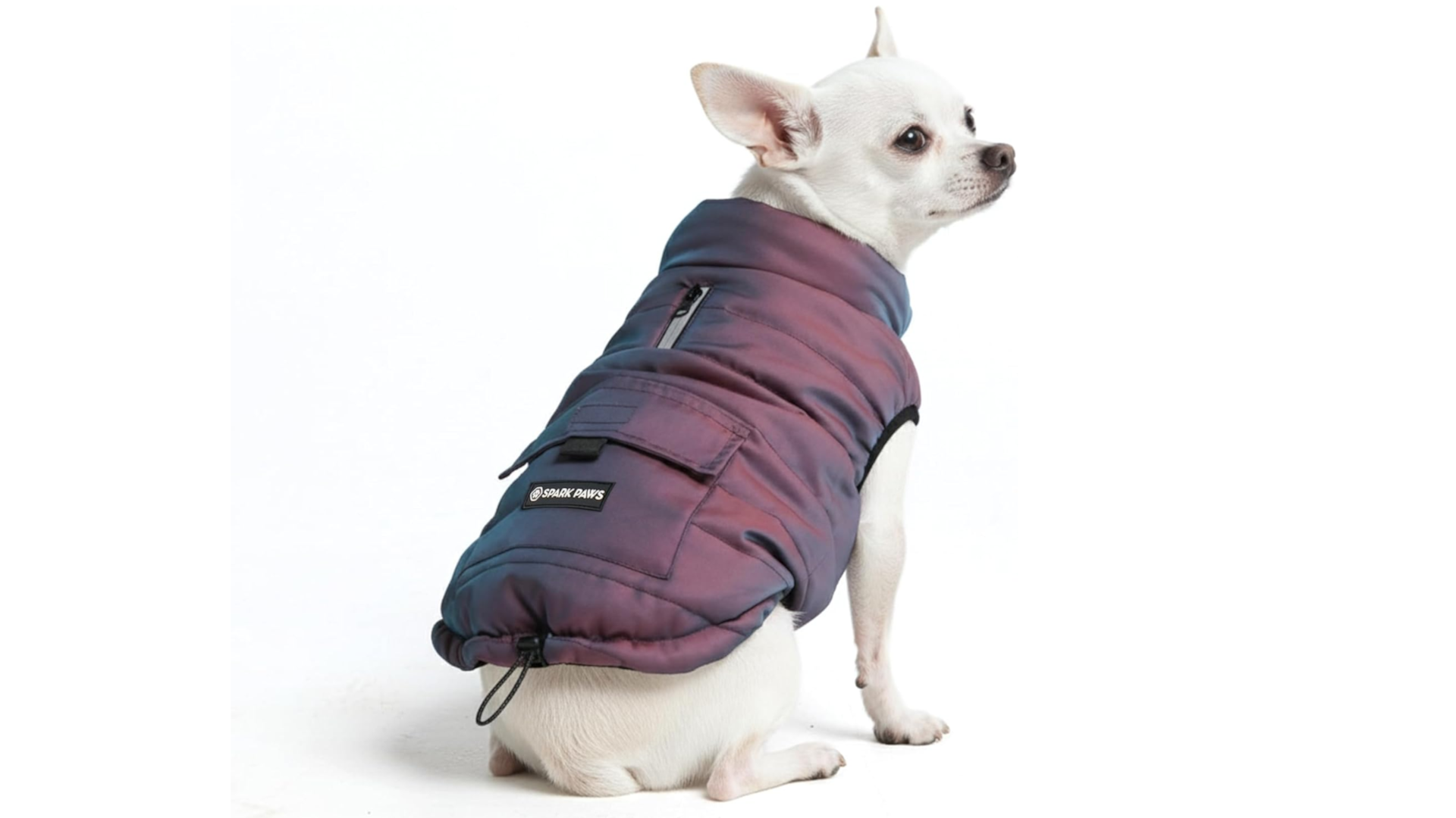 Spark Paws Dog Winter Coat (2)-Amazon.com