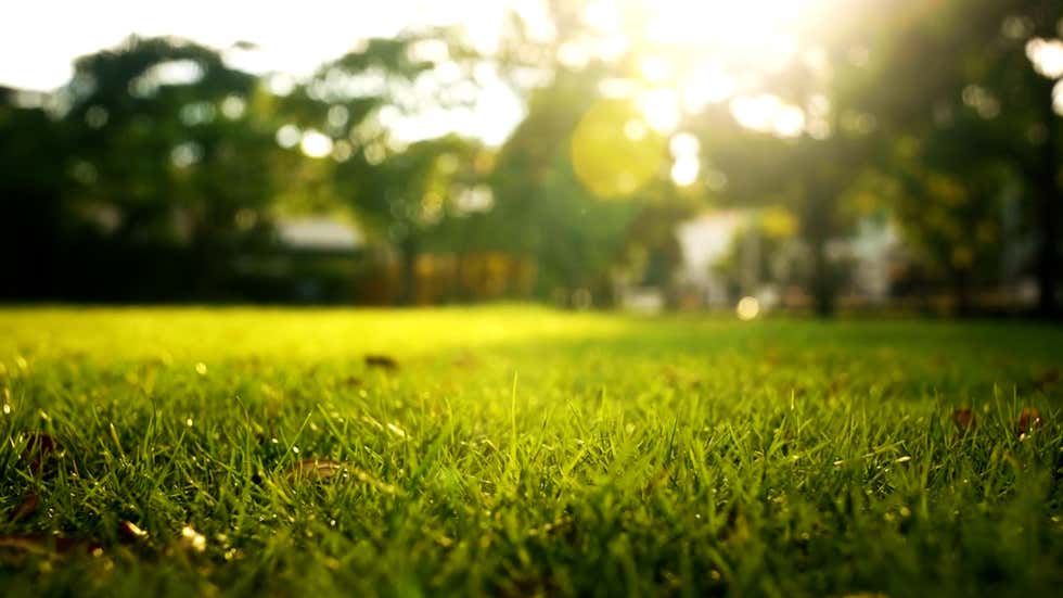 Wind Gusts Up To 96 MPH Tears Through Bradenton FL Videos From The wind-gusts-up-to-96-mph-tears-through-bradenton-fl-videos-from-the