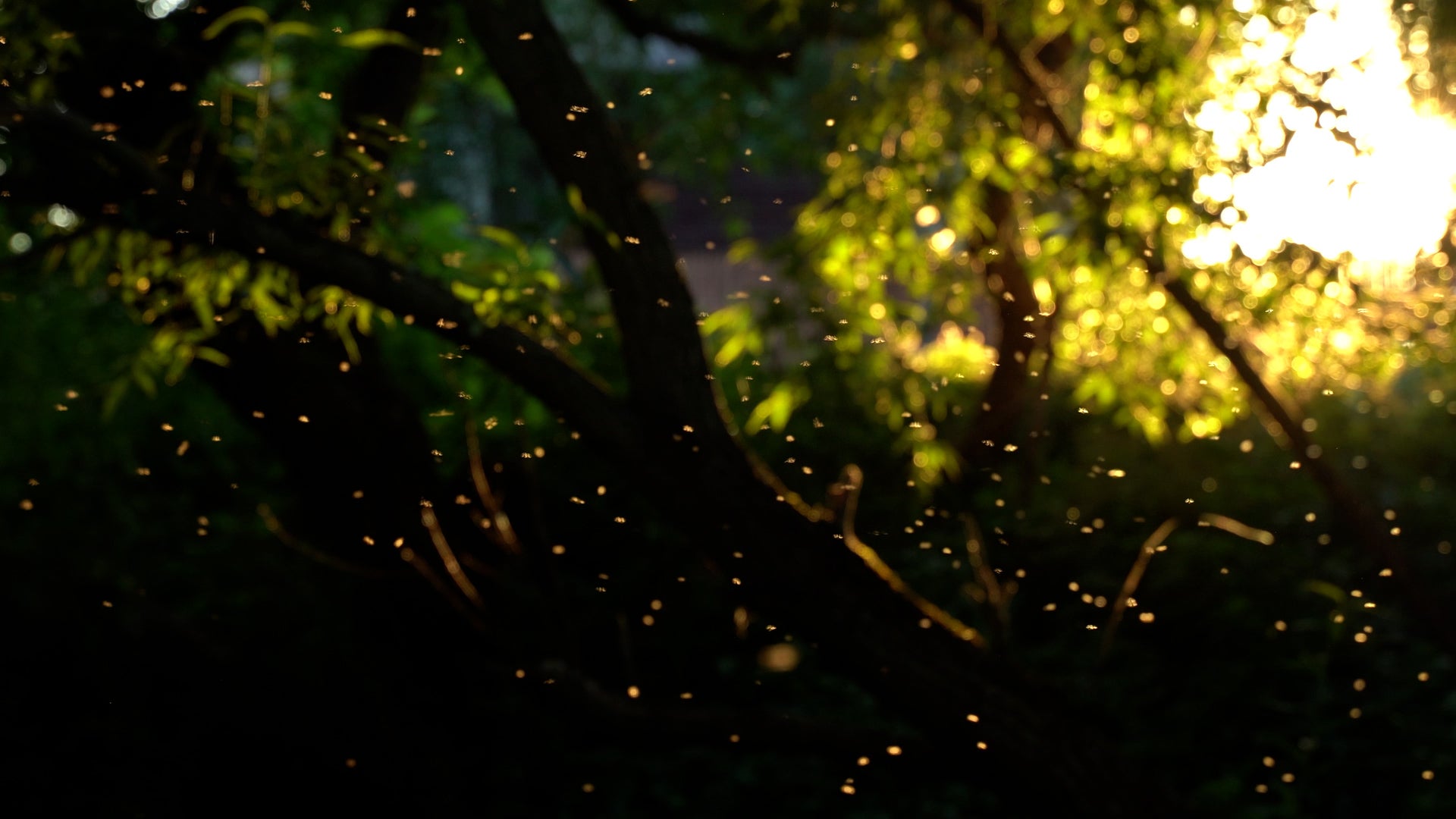 First Pacific Depression Of The Season Forms - Videos from The Weather