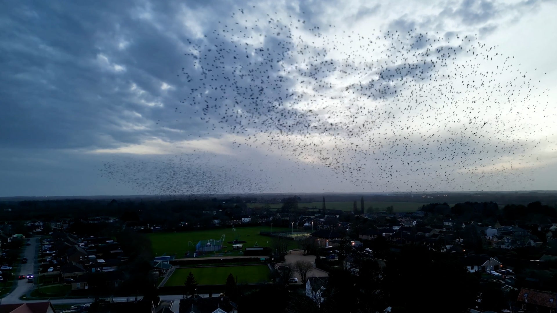 Drone Captures Starling Murmuration On &lsquo;Perfect Evening&rsquo;