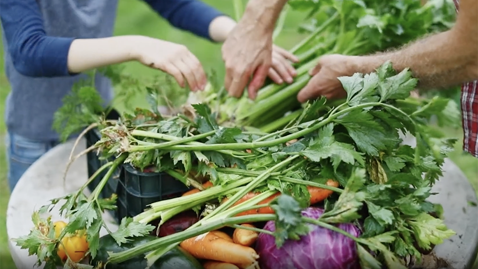 Five Vegetables You Can Plant In July