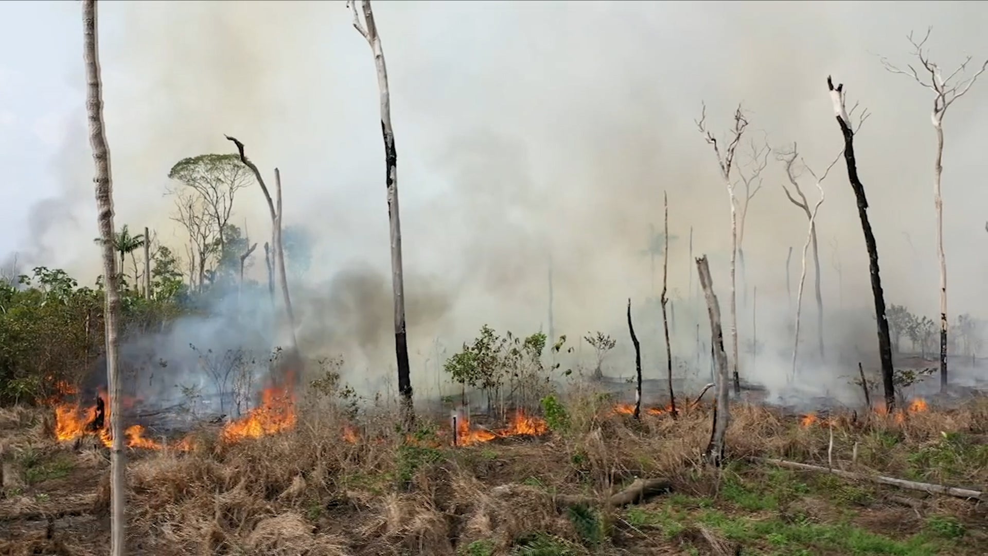 These Events Caused The Highest Emissions Globally