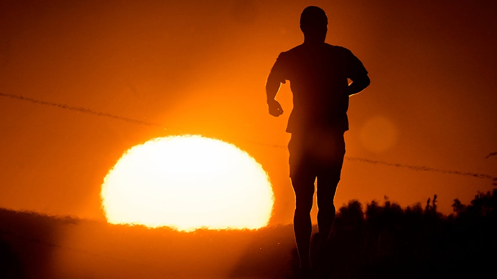 The Science of Sunshine and Your Health: Vitamin D, Serotonin, and Your Summer Glow